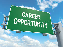 Career Opportunities 2:  Electric Bugaloo