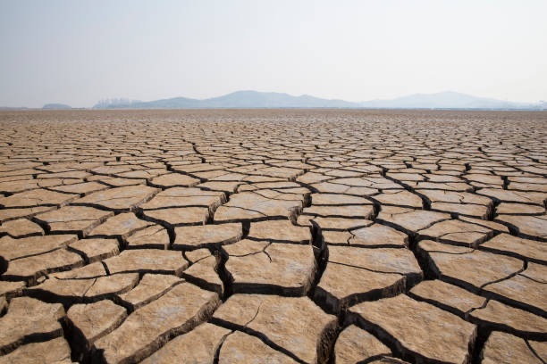 A wide-angle view of a parched, cracked desert floor extending to distant mountains under a hazy sky.