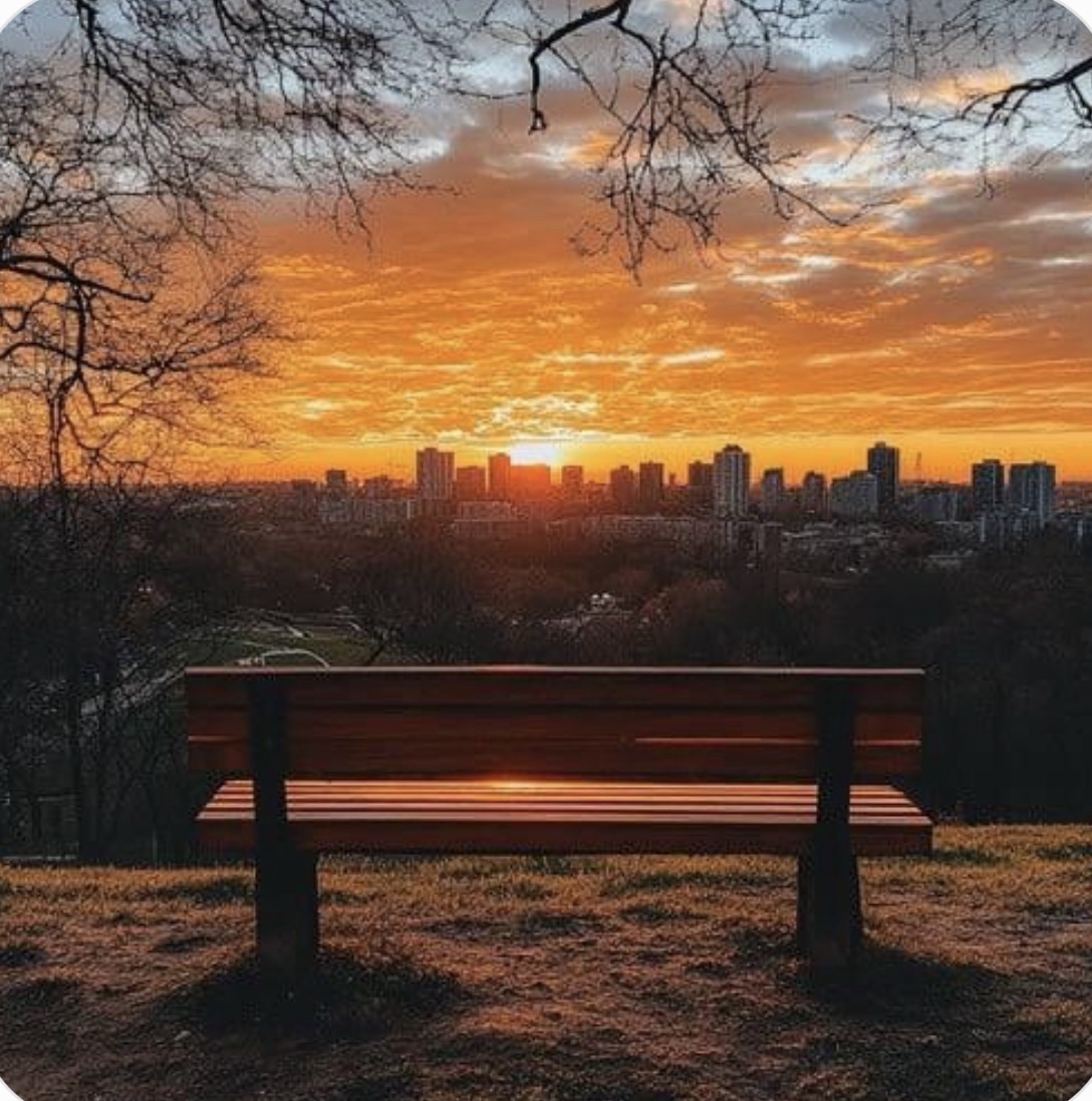 An empty wooden park bench sits on a grassy hill overlooking a distant city skyline under a vibrant orange and yellow sunset sky.