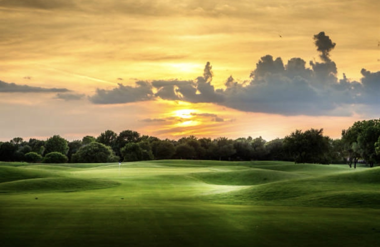 The Back Nine